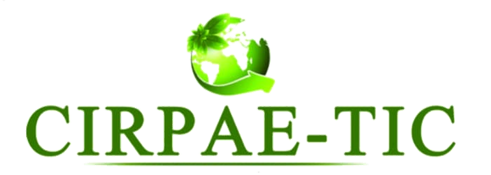 CIRPAE-TIC, Clinique des Données et Documents